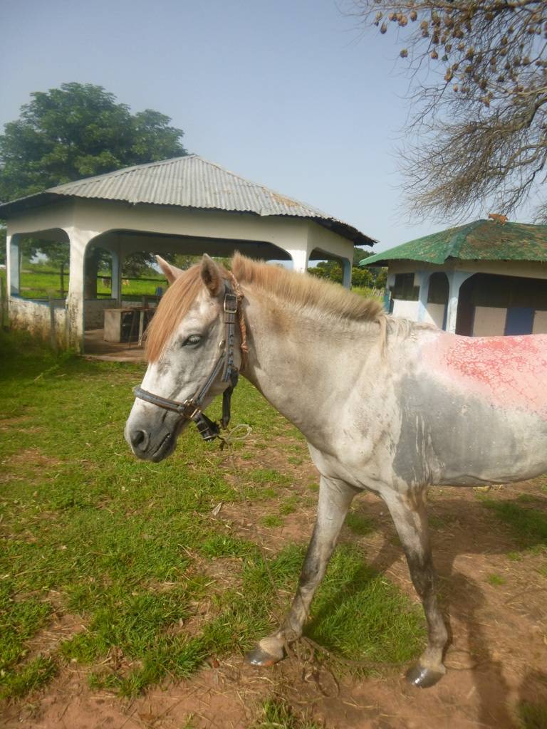 Eto, a burns patient who was admitted into the GHDT centre for long term treatment