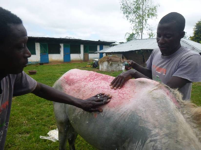 Eto, a burns patient who was admitted into the GHDT centre for long term treatment