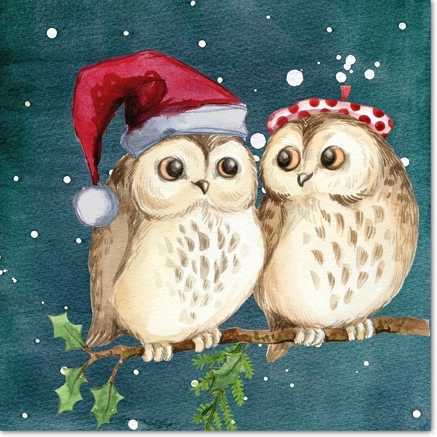 Owls Christmas Card